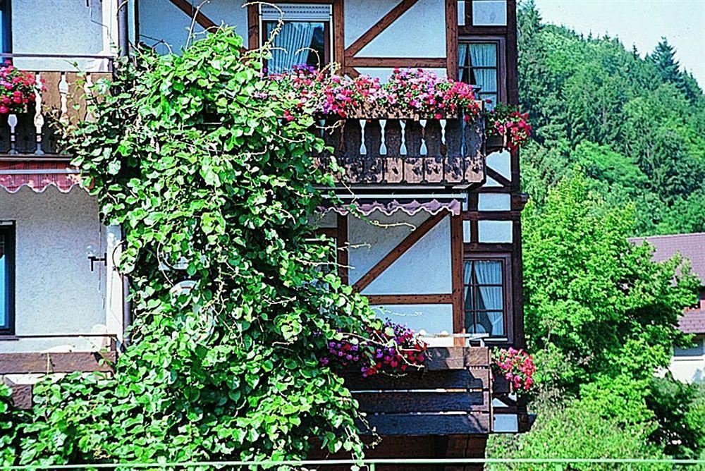 Hotel Hirsch Бад-Петерсталь-Грисбах Экстерьер фото